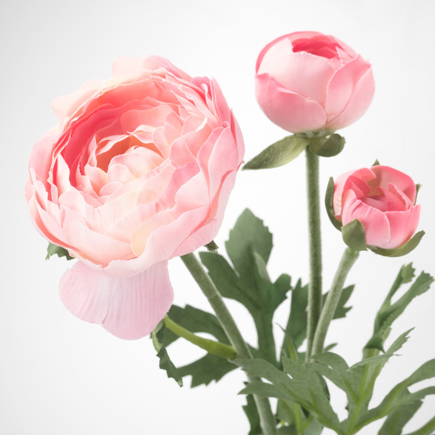smycka-artificial-flower-ranunculus-pink__0903427_pe596720_s5