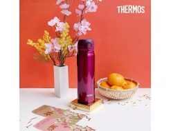 Bình giữ nhiệt Thermos 500ml